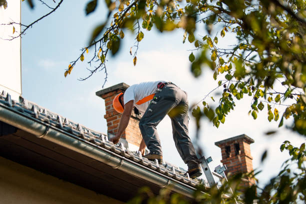 Quick and Trustworthy Emergency Roof Repair Services in Citrus Park, AZ